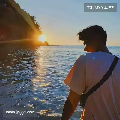 凤元卉